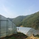 한농연농자재할인마트 이미지