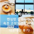 고성 오션뷰 켄싱턴 설악비치 카페, 오하스 둥지 에그타르트 바다소금빵 내돈내산 후기(속초 근처 5분거리)