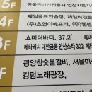 바디트레이닝(미) 이미지