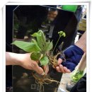 승현 농장 이미지