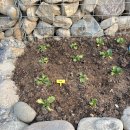 돌담스테이 이미지