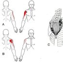 혜인한의원 이미지