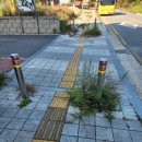 대산스포츠()주 | 국산 파크골프채 추천 부여 파크골프장 첫방문