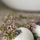 네이쳐 위클리 이미지