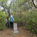 주남마을길 이미지