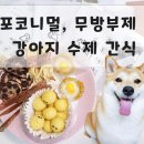 포코니멀