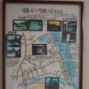 초당할머니순두부 Daum카페