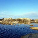 갈매기횟집 이미지