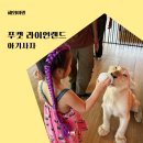 푸켓 라이언랜드 가격 가는법 아이랑 2개월 아기사자 체험 후기