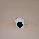 양방향관제시스템 | 보안 KT CCTV 펫캠 관제