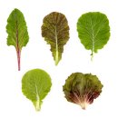 대전정육점 이미지