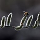 산너머남촌에는 이미지