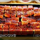 해성장어