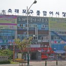 어시장 - 달서구 | 어시장