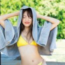 유미 펫 이미지