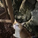 한림별채 이미지