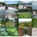 남해편백자연휴양림(남해) 이미지