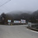 용화산들꽃향기