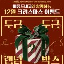 메종드센텀 | 고양이 분양 부산 브리티쉬숏헤어 부산 먼치킨 분양 해운대 고양이 분양 메종 드 네코 센텀본점 방문후기