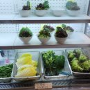 줄포제4소교량 | 청계산입구역 맛집 부안애서 청계본점 토마토 닭도리탕의 반전 매력 🥘