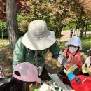 감정초병설유치원 이미지