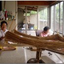 안동포마을 이미지