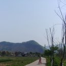 그린콩 캠핑장
