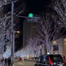 금옥여고보도육교 밑 | 1월 도쿄여행 Day 1 2탄 (도쿄타워 포토존, 츠지한 후기 절망편 ,도쿄일루미네이션)