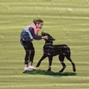 7월 부산 전시회 :: 워너 브롱크호스트 : 온 세상이 캔버스 부산전