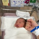 남일기계 | [임신일기_끝] 시온여성병원 자연분만 출산후기 & 2박3일 모자동실 후기