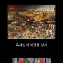 프랑스에서 흑사병을 퇴치시킨 전설의 의사 이미지