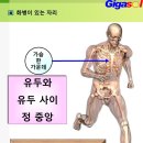 단 한 번의 관리로 우울증이 사라지고 이미지