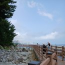 외옹치 해수욕장 이미지