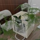 세븐일레븐 춘천유엔아이점 | 춘천 가드닝 잎풀 춘천플랜테리어 추천