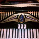 아코디언2 이미지