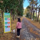 본량중학교 이미지