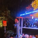 매직킹덤으로의 특별한 초대 경주엑스포대공원 EX-펌킨나잇 방문 후기