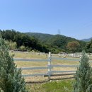 광기목장 이미지