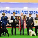 강화켄넬 이미지