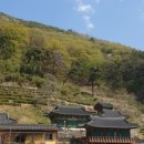 가양중국식품 이미지