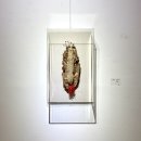 토림문화예술원