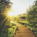 산마번역행정사사무소 이미지