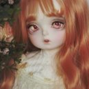 새벽노을2 이미지