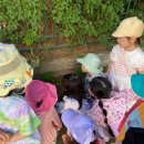 햇빛어린이집 이미지