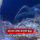 울산에서 대게 구입하려면 울산농수산물시장 도매동으로 가면 된다.