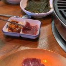 가재마을1009동건너편 | 세종 종촌동맛집 태정 육사시미 갈비살 전문 노포st 고기집