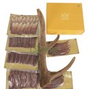 이솜한의원 이미지