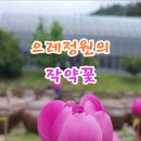 쌍향수길 이미지