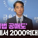 개미 울리는 '불법공매도' 또 있었다... 글로벌 IB 9곳, 2천억... 이미지