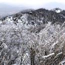 제171회 정기산행 광주 화순 무등산 이미지
